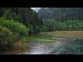 The beautiful little river is raining(416) , sleep, relax, meditate, ASMR, Real Shot