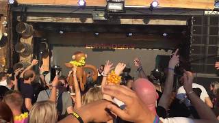 28. 06. 2018 - LUMINOSITY BEACH FESTIVAL 2018 - PURPLE HAZE