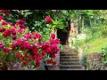 【編曲してみた】赤毛の隣人🌺来生たかおさん作曲👒
