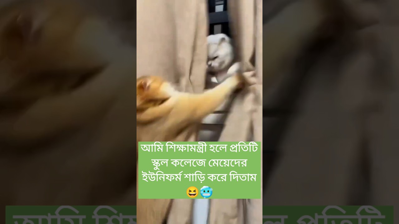 Minister Dreams 😅 | Funny Bangla Short 