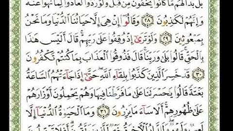 6 - سورة الأنعام 💚 القارىء الشيخ ناصر القطامي