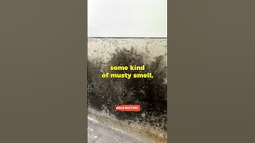 Black Mold in the Garage Virtual Inspection, Mold Busters