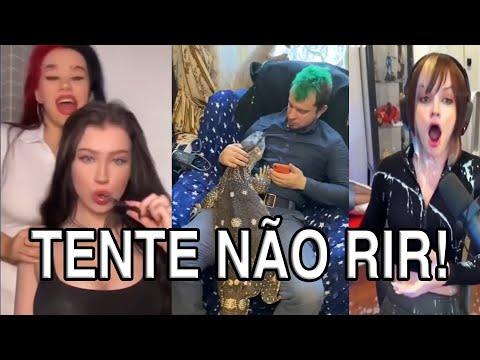 TENTE NÃO RIR MEMES CURIOSOS DO UNUSUAL MEMES - DINOSSAURO DE ESTIMAÇÃO?!