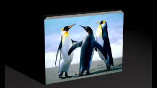 animation-camera-sample.avi