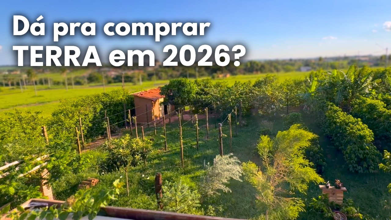 Como Comprar Terra em 2026 (mesmo sem ser rico)