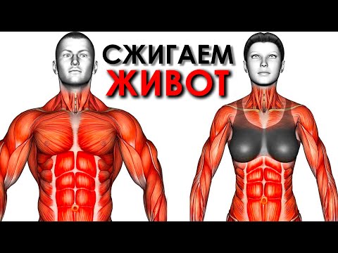 Упражнения Стоя Для Сжигания Жира На Животе