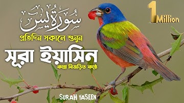 সূরা ইয়াসিন (প্রতিদিন সকালে শুনুন) Surah Yaseen (سورةيس Yasin ) Yasin Sharif 