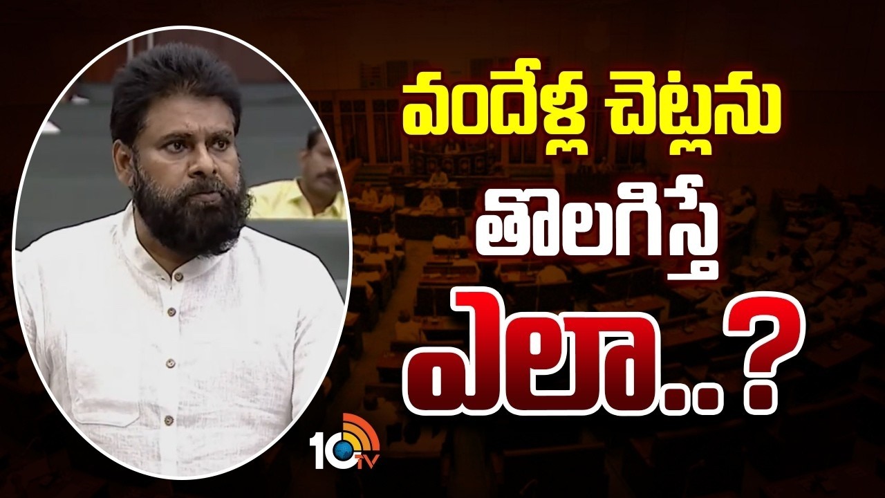 Deputy CM Pawan Kalyan on Road expansion in AP | వందేళ్ల చెట్లను తొలగిస్తే ఎలా..? | 10TV