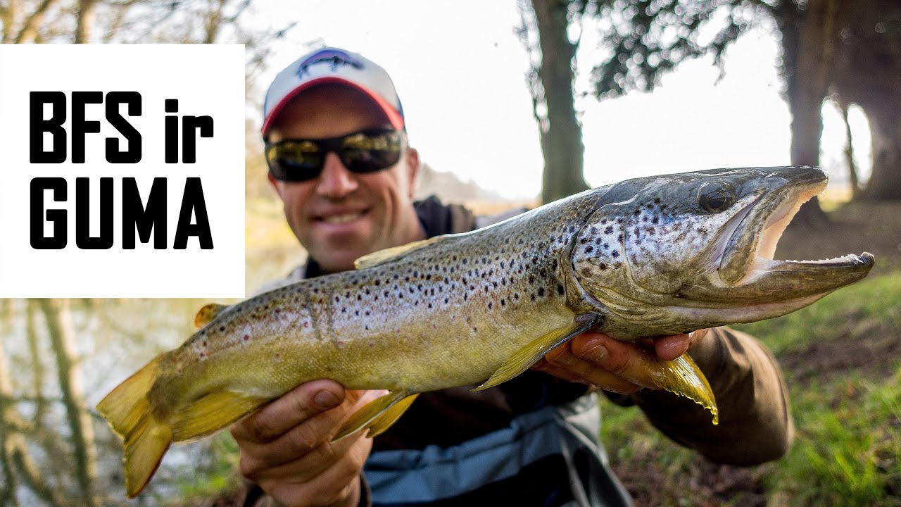 Pavasariniai upėtakiai kitaip: guminukas ir BFS