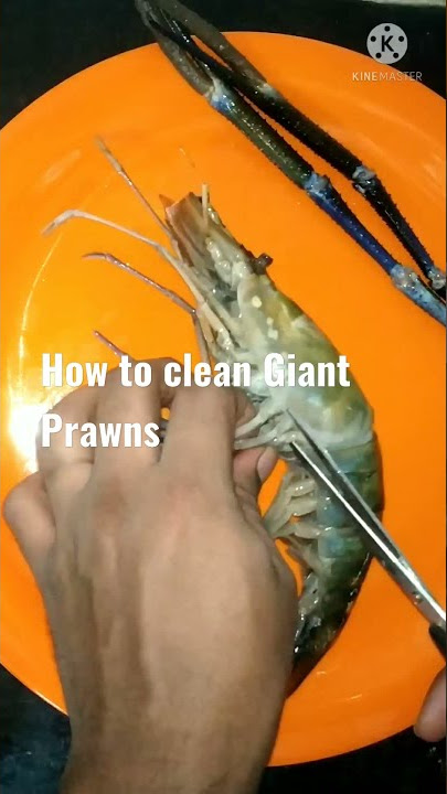 How to clean Giant Prawns