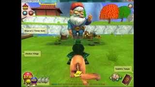 Wizard101-Gnomes!