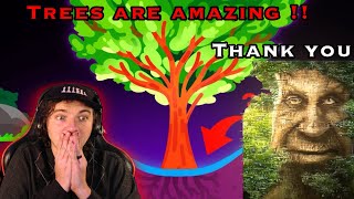 Why Are There No Holes Around Trees?  - Kurzgesagt Reaction