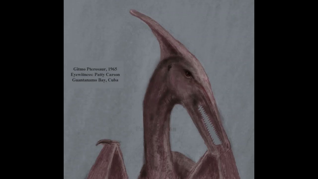 Pterosaur Sighting Intro 2