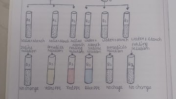 bsc 2nd Semester Zoology Practical File|zoology practical file bsc1st year 2 nd semester #zoology