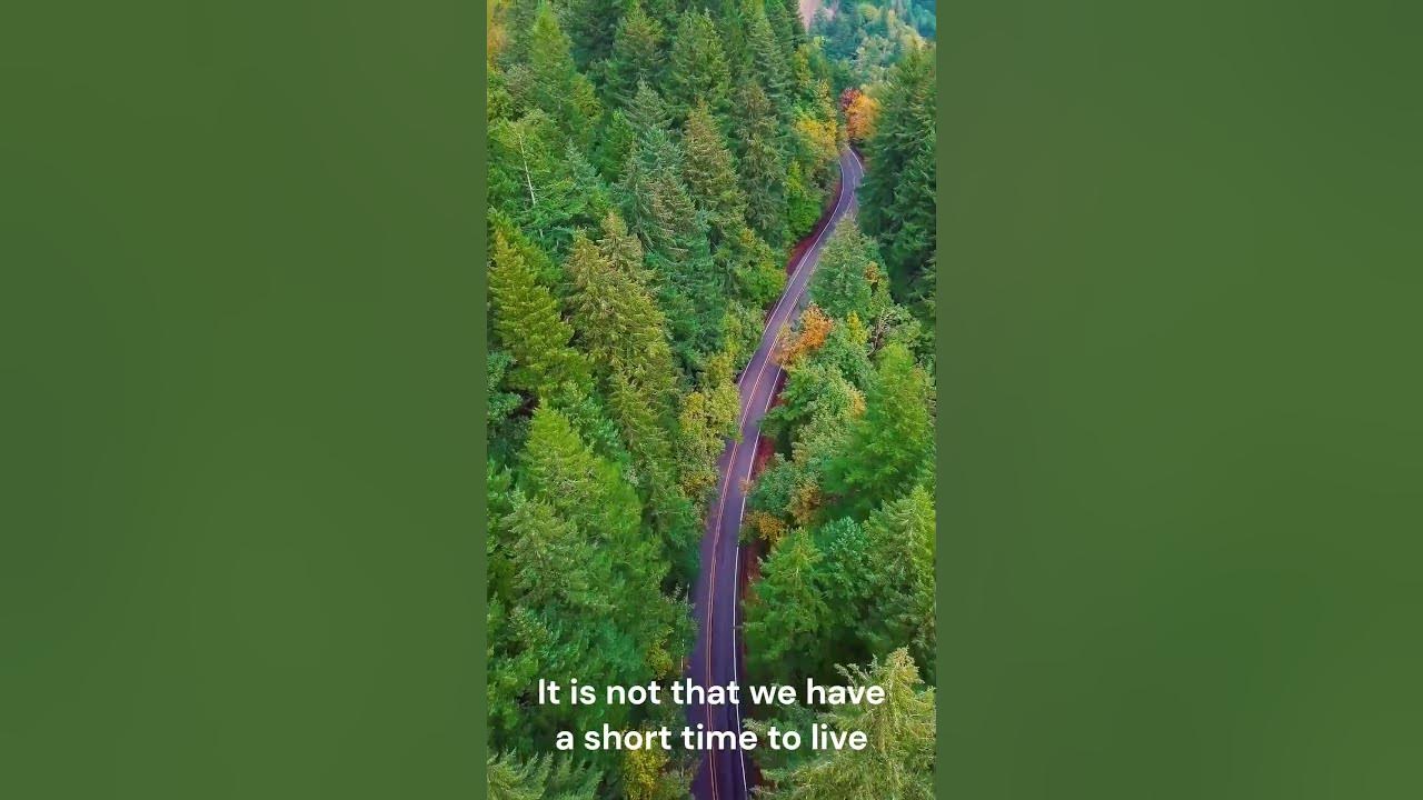 it-is-not-that-we-have-a-short-time-to-live-seneca-stop-wasting