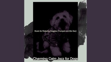 High Class Backdrops for Separation Anxiety