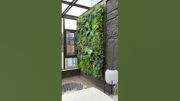 Thi công tường cây giả full cành lá  #news #plants #caydecor #home #homedecor #câygiả #atzdecor