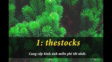 TOP 10 WEB CÓ KHO ẢNH MIỄN PHÍ CHẤT LƯỢNG CAO DÀNH CHO DESIGNER // TNQ PHOTOSHOP