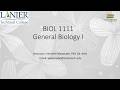Ch1 Introduction to Biology