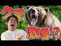 激増するクマ目撃情報の正体は?【マタギサミット2025】