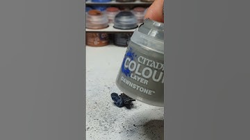 A noob builds Primaris Intercessors – Part 263 #fyp, #warhammer40k, #warhammer, #minis