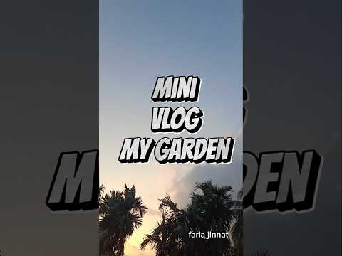 Mini vlog My Garden 🌲🍀☘️🌿🪴#nature #flowers #viral #trending