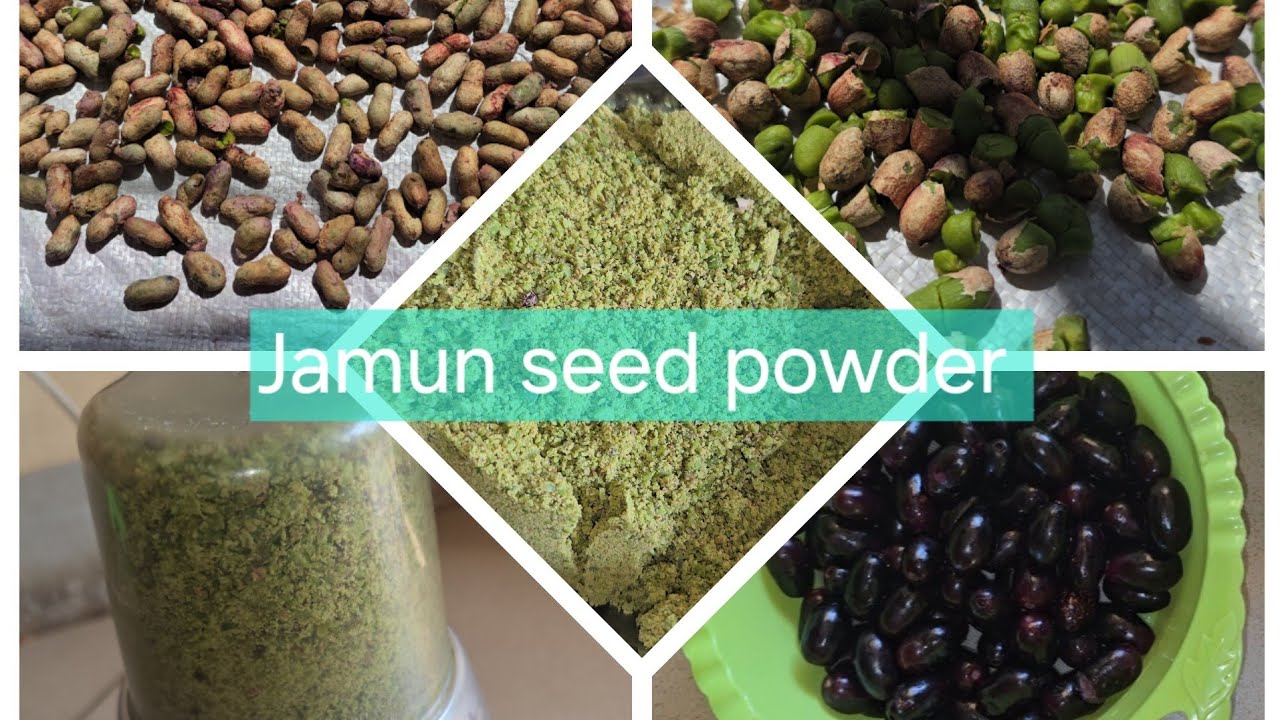 Jamun seeds powder at home  made|| add your  died food unbelievable  health  benefits ||