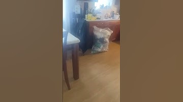 day one of making ugly transitions until I get to 1K