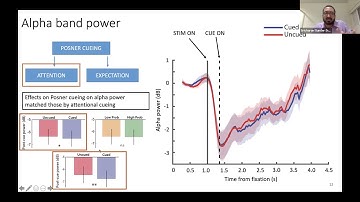 Talk: Posner cueing specifically modulates attention, but not expectation: Behavioral and neural ev…