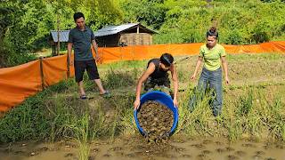 Download lagu Nhat began releasing the crabs—promising a bountiful harvest—and met the village chief.