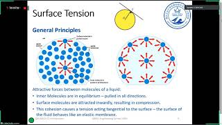 Surfaces & Interfaces - Module Review