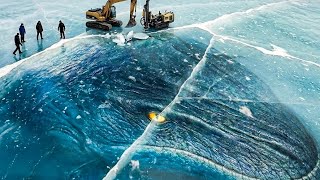 500 Million Year Old Creature Dug From Ice And It’s Still Alive