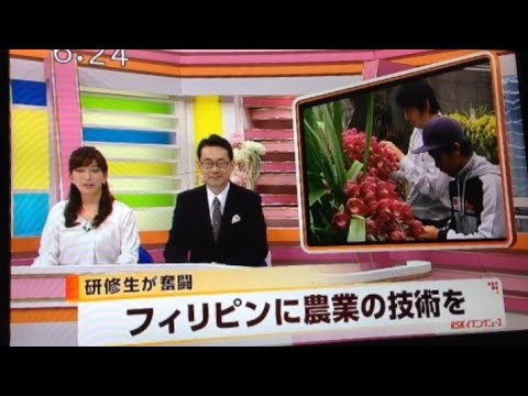 Japan Tv Interview Experience | (YFFTPJ 2015) FilipinoTrainee |RSK News Tv | JAEC | 4H?