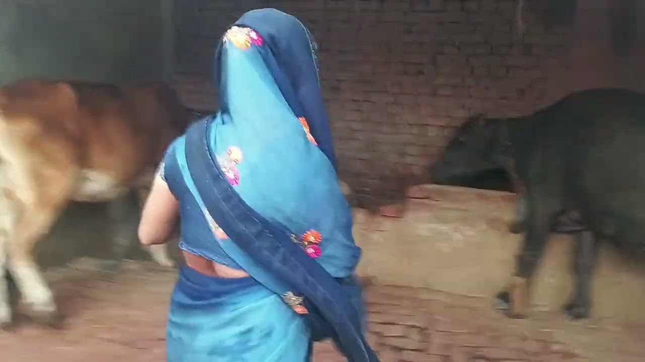 🍜Nand ke liye ek bori aalu 🤛🏻|| Hindi comedy video || Indian video || kk comedy video