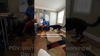 Put everything down, your fur babies need your love. 🐶💖#DogLove#FamilyTime#PetCuddle#DogLife