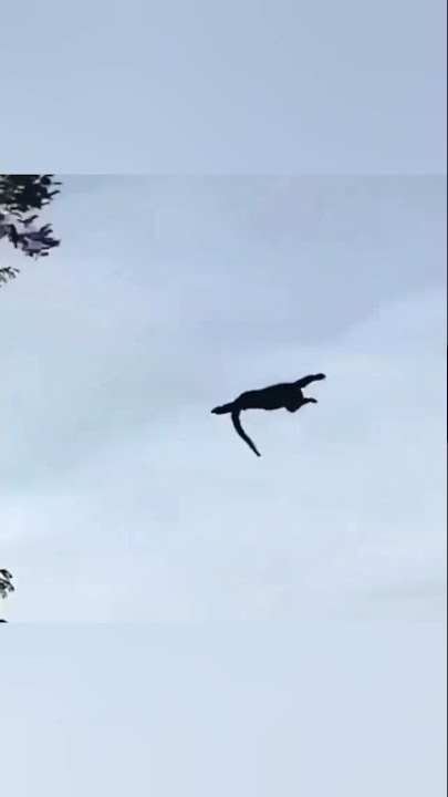 TONTON SAMPAI SLESAI PERCOBAAN BUNUH DIRI GAGAL || Failed suicide attempt