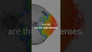 Big Ideas Lab | Planetary Defense (Part 2)