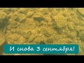 Подводный поиск #37. И снова 3 сентября!