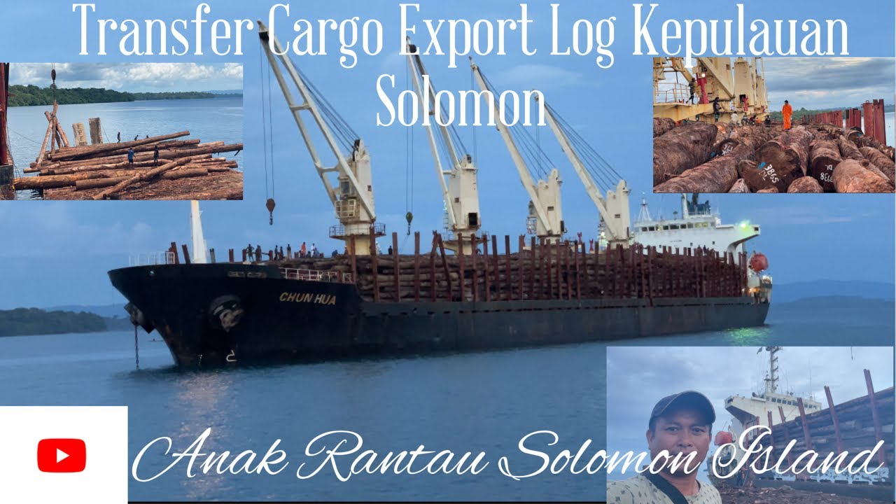 Proses Pengeluaran Kayu Export Kepulauan Solomon//Transfer Cargo Ke Kapal Besar//