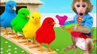 Download Lagu Bebé Mono BonBon cuida al patito en la granja y juega feliz en el parque - MONO BONBON ESP MP3 Download Lagu Bebé Mono BonBon cuida al patito en la granja y juega feliz en el parque - MONO BONBON ESP MP3