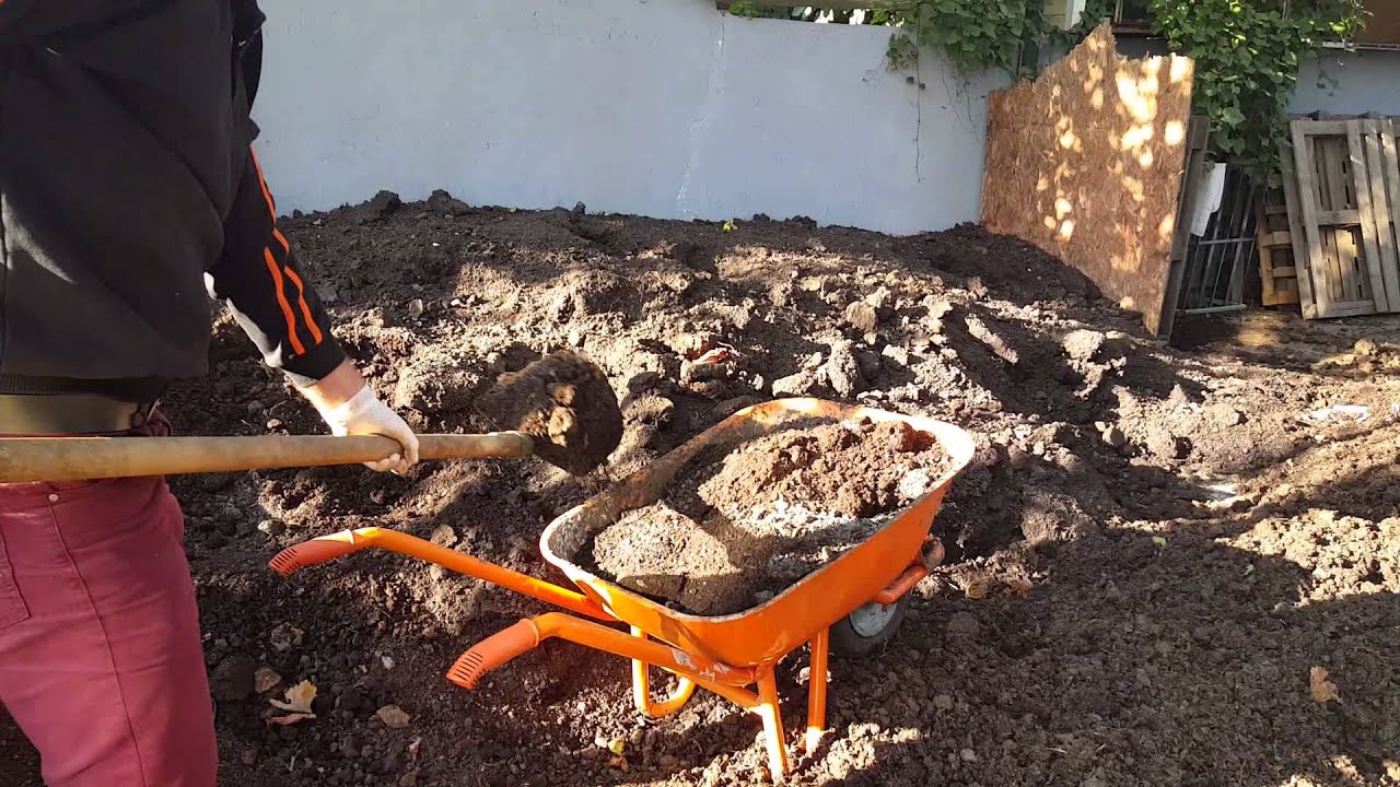 Solucan Sayımı ve Solucan Maması Hazırlanması