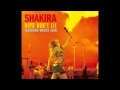 Shakira - Hips Don't Lie [DJ Kazzanova Remix]