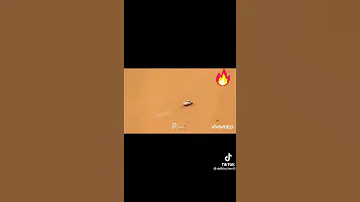 مكاافحه التهريب السودان 