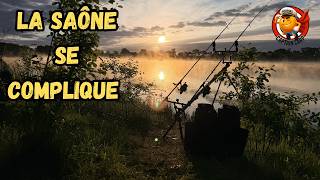 La Saône se complique !!
