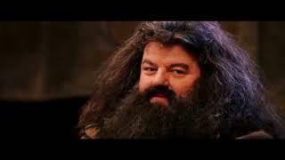 Harry Potter And The Philosopher Stone Ending