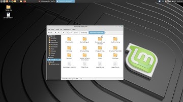 Access Windows In Linux Mint Dual Boot