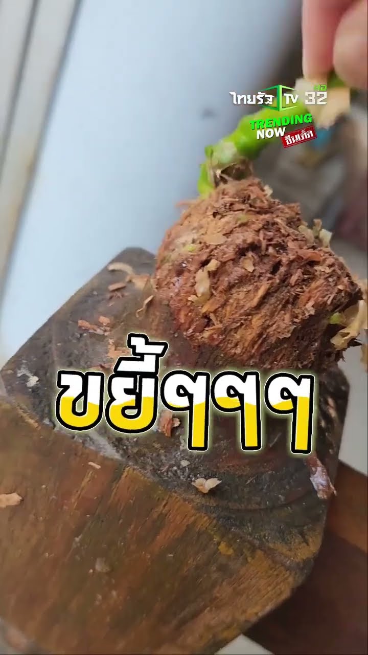 เมื่อเฟอร์นิเจอร์ที่บ้าน อร่อยเกินไปสำหรับโบ้ | THairathTV