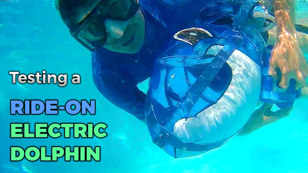 Testing a RideOn Electric Dolphin Kids Invent Stuff YouTube