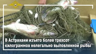 Ирина Волк: В Астрахани полицейские изъяли более трехсот килограммов нелегально выловленной рыбы