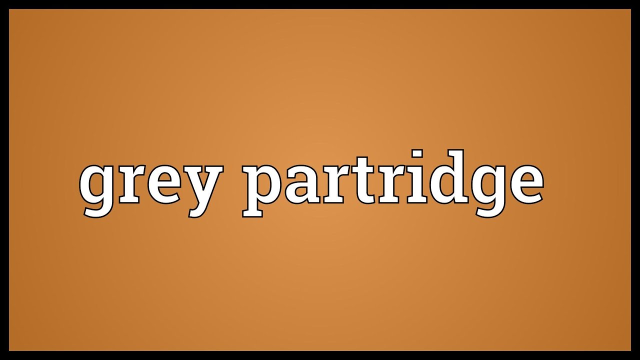 Grey partridge Meaning 